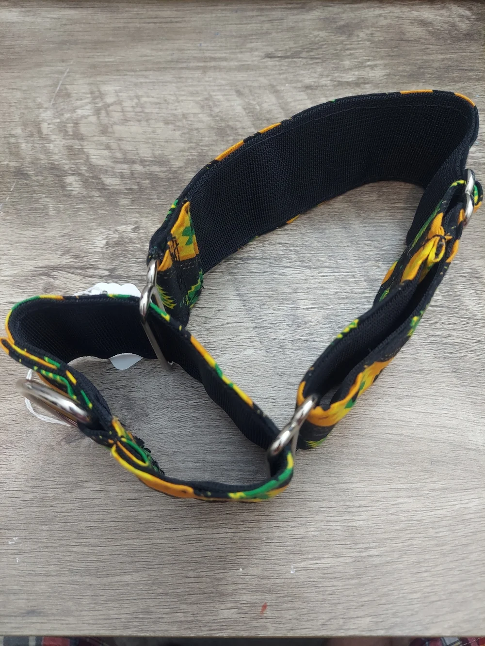 Custom Martingale Dog Collar 2